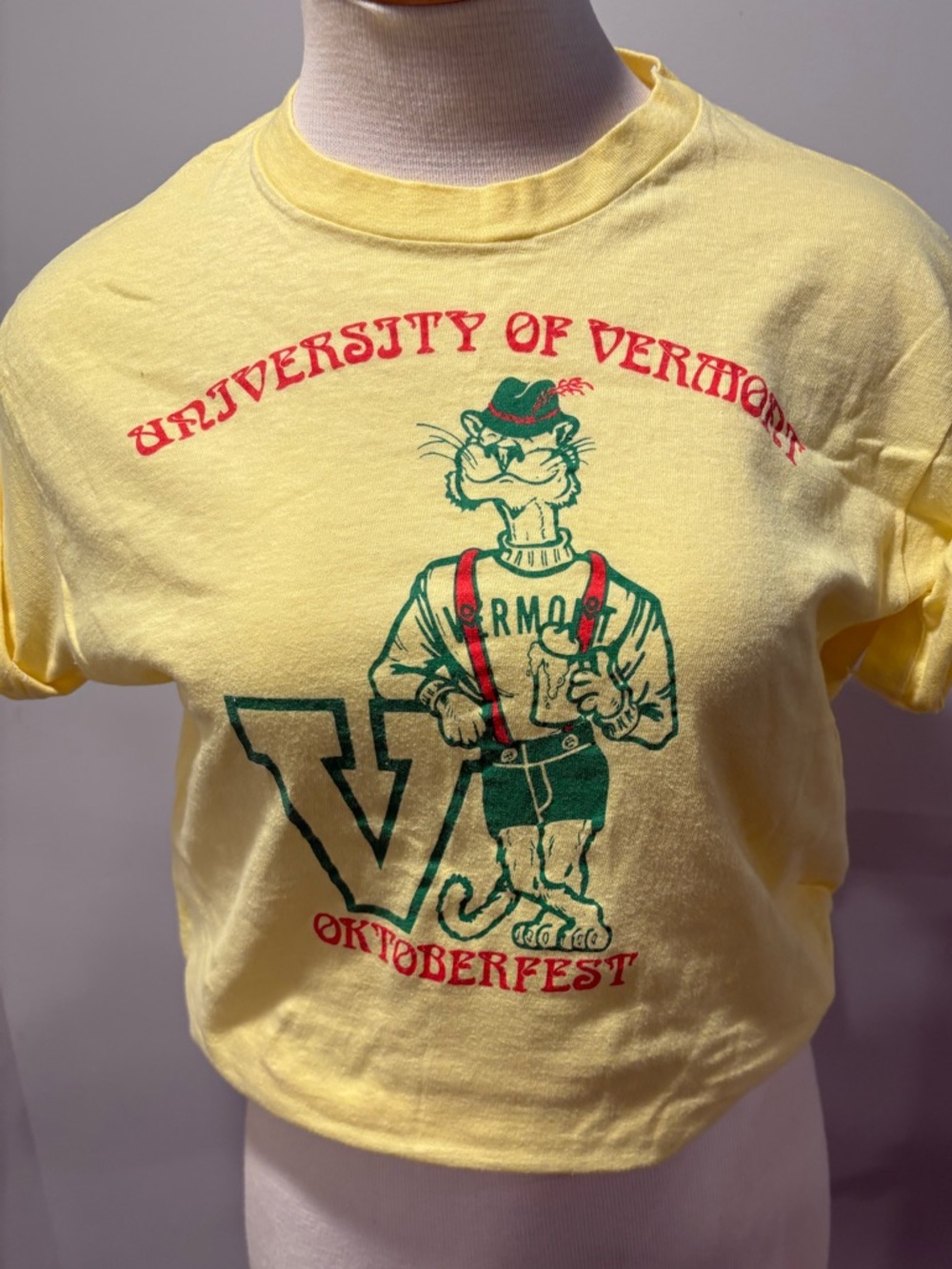 Vintage Hanes 100% cotton Univ of Vermont Oktoberfest t shirt